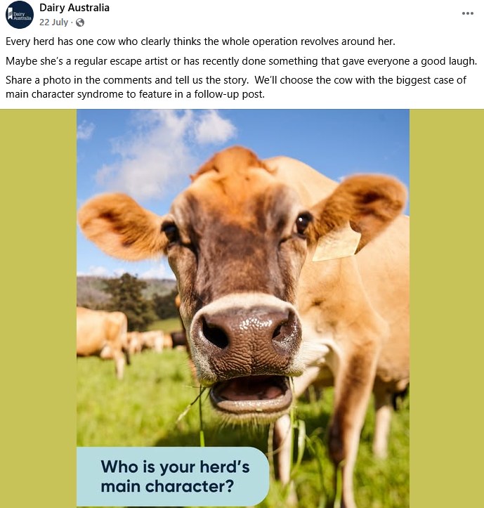 The Dairy Australia Facebook post asking who is your herd's main character, with a close-up of a Jersey cow