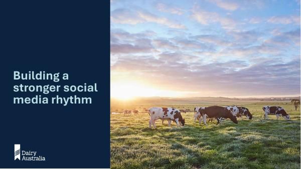 Cover slide of Building a stronger social media rhythm